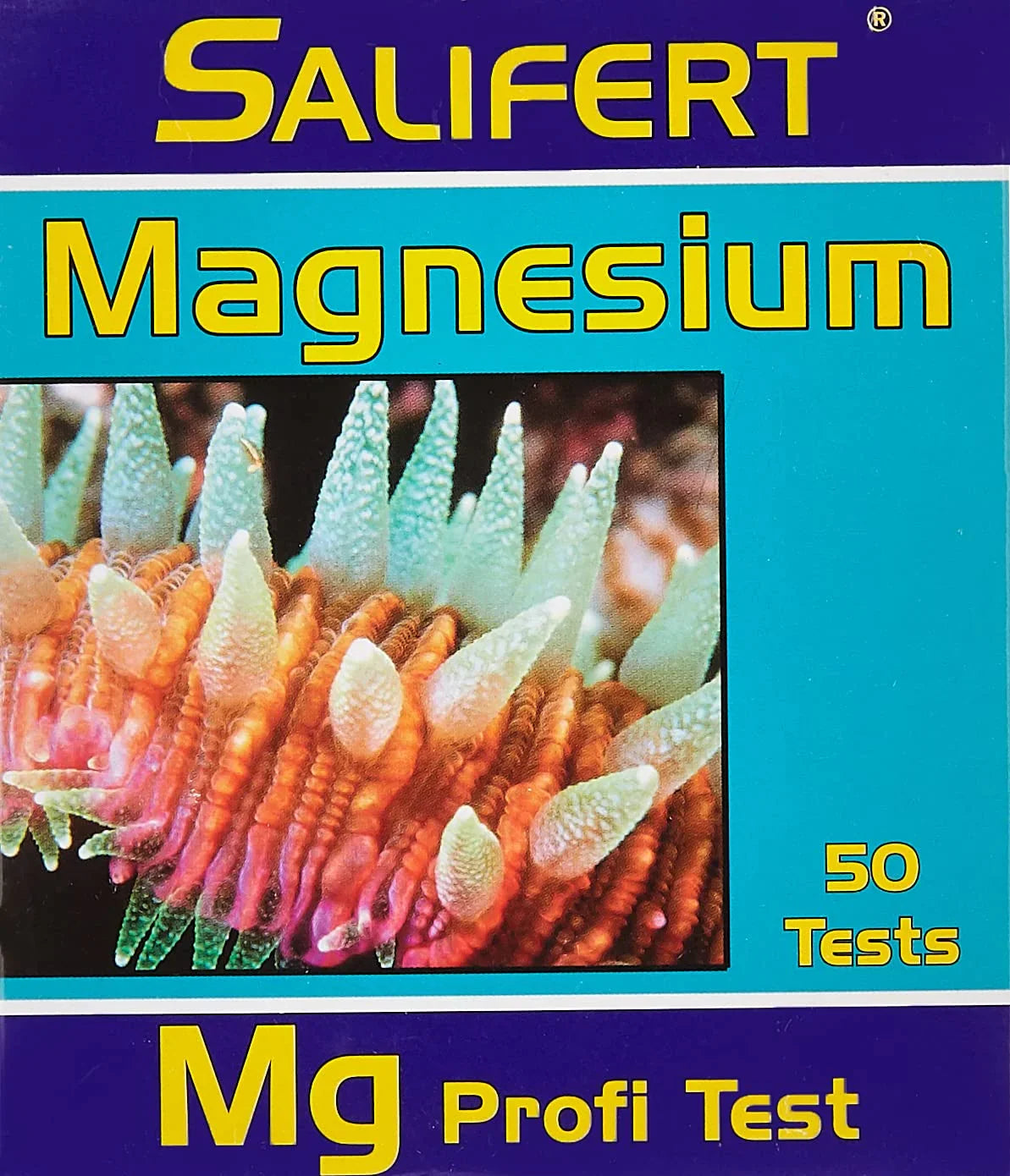 MAGNÉSIUM - Canada Aquamarine
