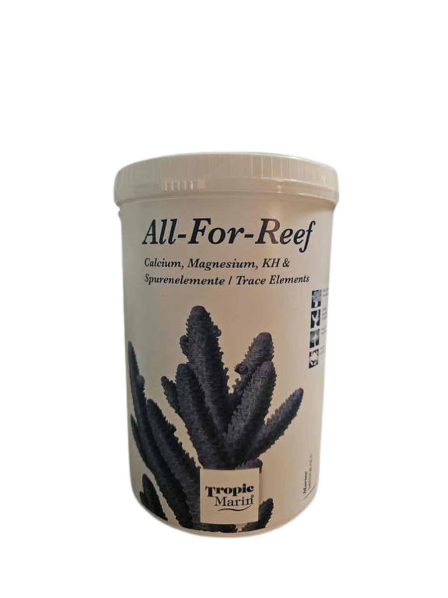 All-For-Reef - Canada Aquamarine