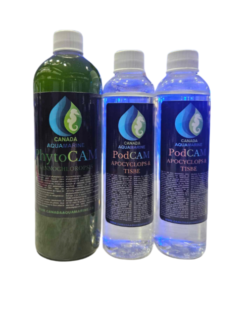 Starter kit: copepods + phytoplankton