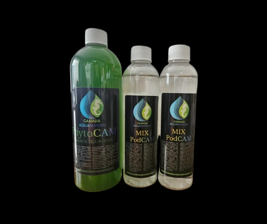 Kit de départ : copépodes + phytoplancton