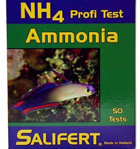 AMMONIA - Canada Aquamarine
