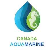 Canada Aquamarine