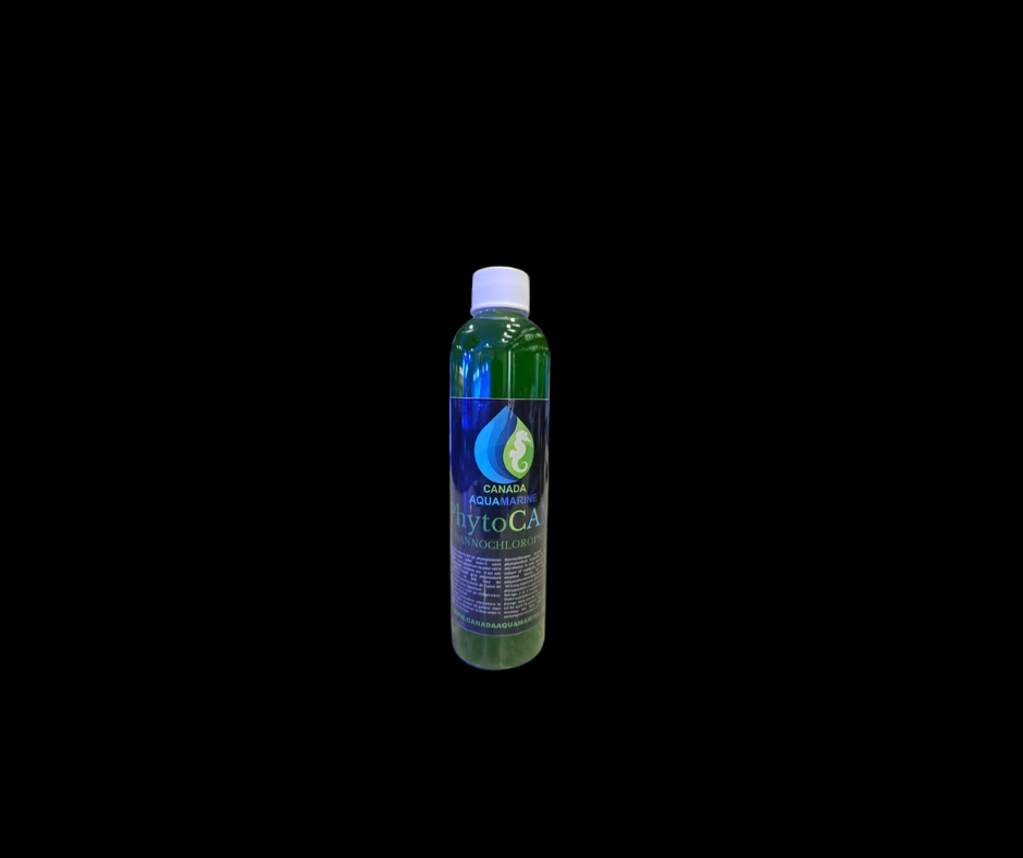 Caméra vivante PhytoCAM de Canada Aquamarine, avec un design joyeux et coloré, idéale pour la surveillance écologique.