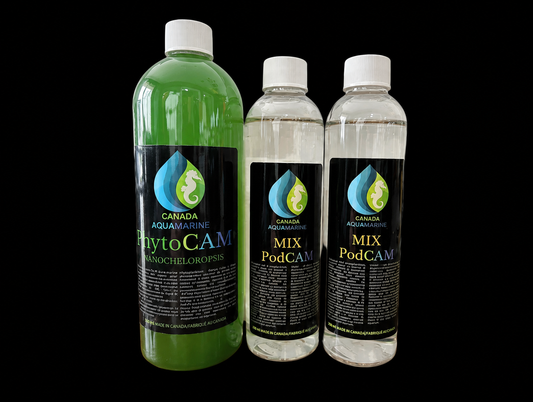Copépodes et phytoplancton vivants dans un kit de départ de Canada Aquamarine, pour l'aquariophilie marine.