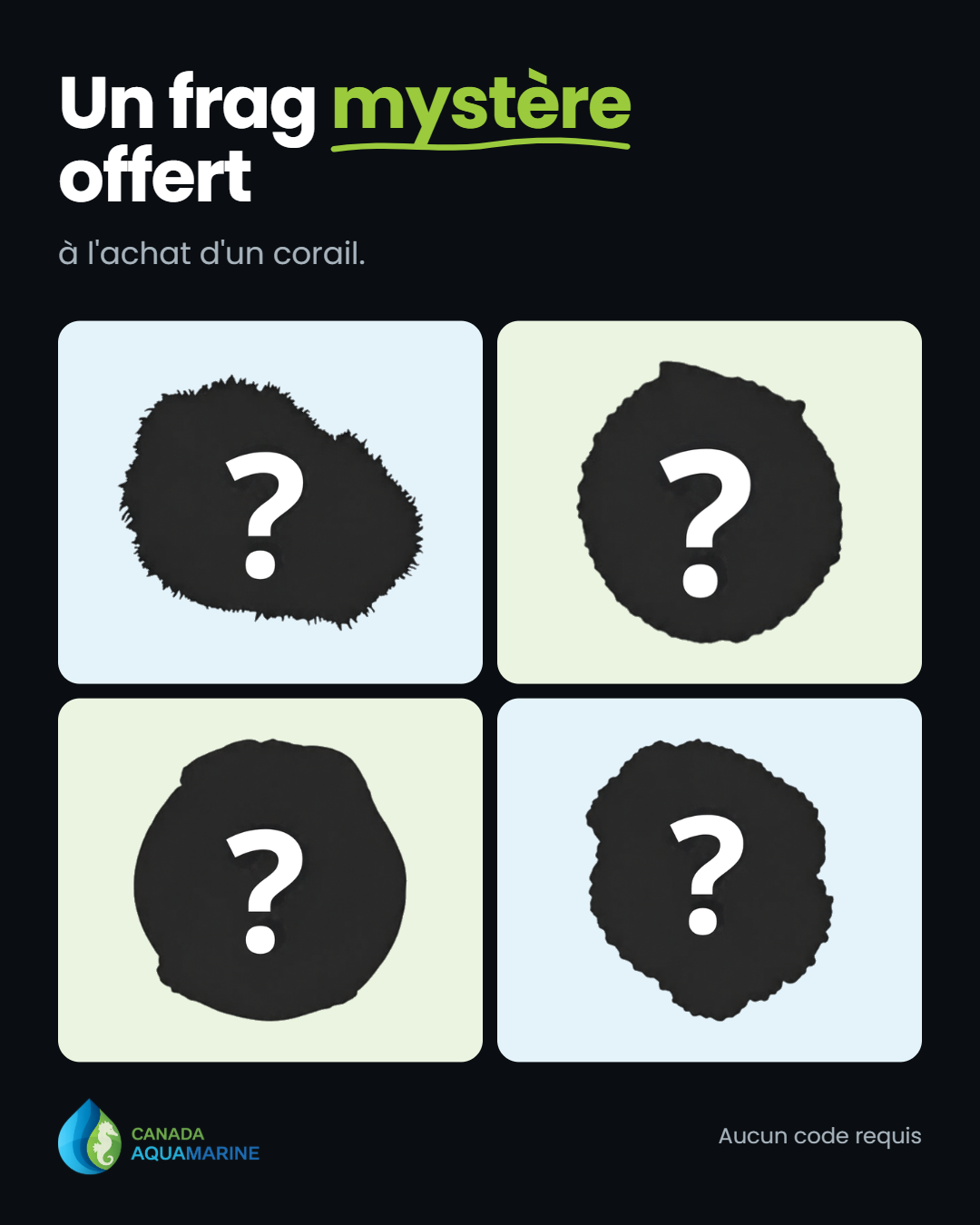 Frag mystère gratuit