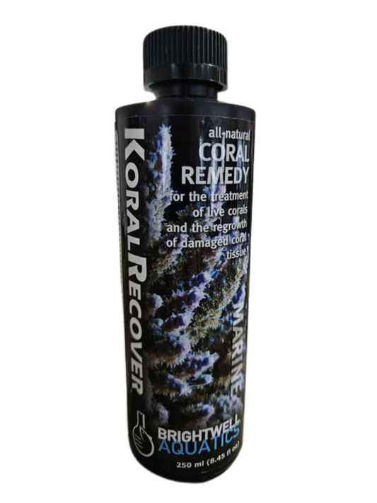 Koral Recover