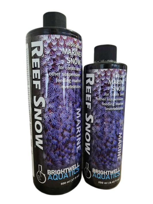 Reef Snow