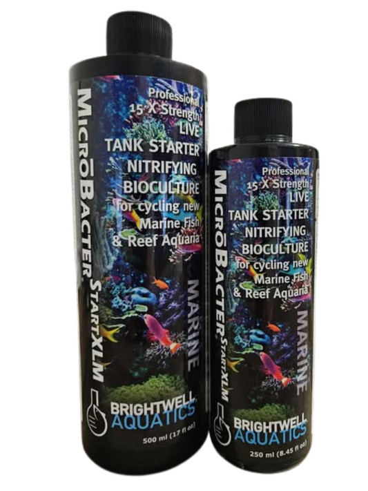 Microbacter Start XLM