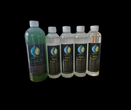 Starter kit: copepods + phytoplankton